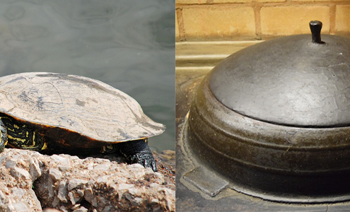 자라 보고 놀란 가슴 솥뚜껑 보고 놀라다